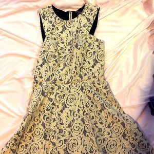 BEBE Sunny Lime Fit Flare Lace Dress